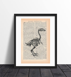 Adler Skelett Kunstdruck | Architektur Readable Art