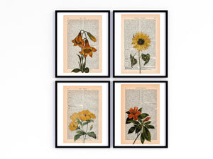 4 Blumen Kunstvoll Auf Alte Vintage Buchseiten Gedruckt | Readable Art