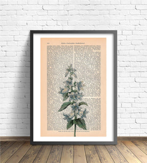 Alte Buchseite Kunstvoll Zur Deko bedruckt mit Fingerhut | Readable Art