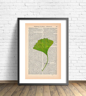 Alte Buchseite mit Kunstvollem Ginkgoblatt zur Deko | Readable Art