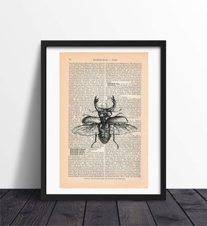 Alte Buchseite Zur Deko mit Hirschkäfer Bedruckt | Readable Art