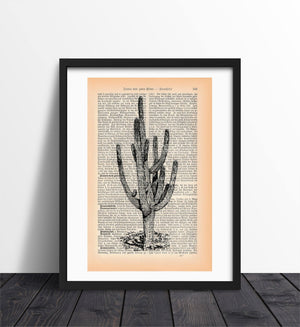 Alte Buchseite Kunstvoll Zur Deko mit Kaktus Bedruckt | Readable Art 