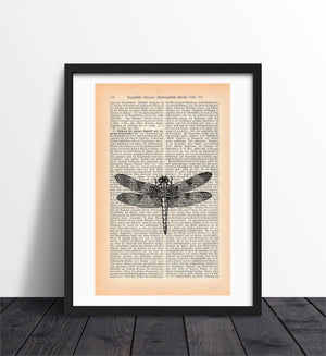 Alte Buchseite Kunstvoll Zur Deko mit Libelle Bedruckt | Readable Art