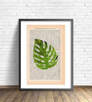 Alte Buchseite Kunstvoll mit Monsterablatt Bedruckt | Readable Art