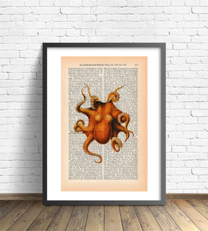 Kunstdruck | Oktopus readable art