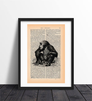 Alte Buchseite Kunstvoll Zur Deko mit Affe Bedruckt | Readable Art