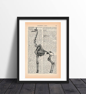 Alte Buchseite Kunstvoll Bedruckt mit Giraffenskelett | Readable Art