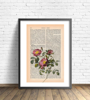 Alte Vintage Buchseite Bedruckt mit Lila Sommerblume | Readable Art