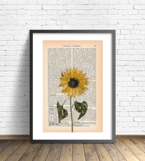 Druck Alter Buchseite Kunstvoll Zur Deko mit Sonnenblume | Readable Art