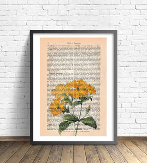 Alte Buchseite zur Deko Kunstvoll mit Ringelblumen | Readable Art